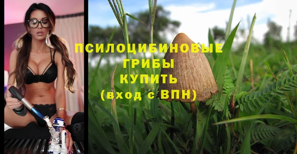 СК Козловка