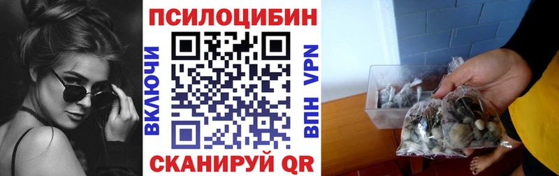 Галлюциногенные грибы мицелий  Стерлитамак 